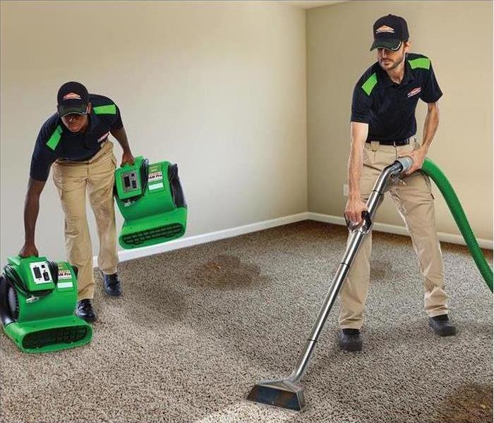 Servpro working to remove mold from your carpet
